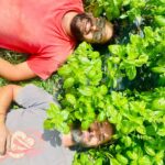 Illustration du producteur GAEC Le potager des Hautes Landes