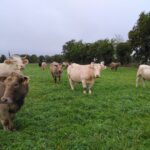 Illustration du producteur Ferme des Marzelles