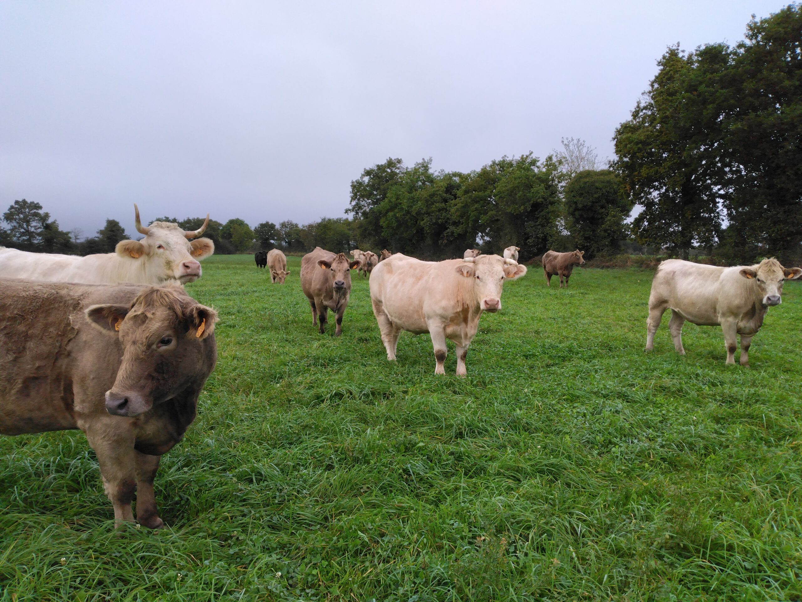 Ferme des Marzelles