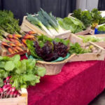 Illustration du producteur Ça vit dans la prairie