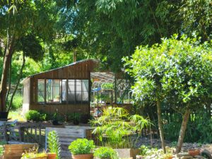 Illustration du producteur Le jardin de Radio Poulettes