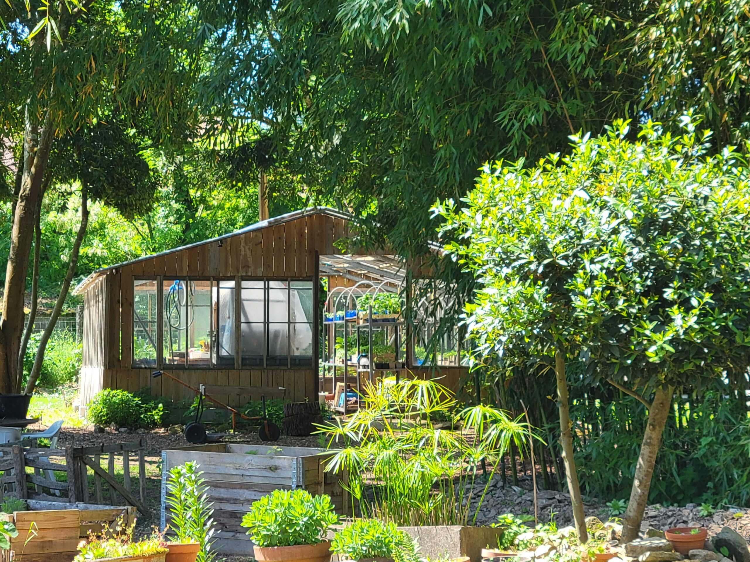 Le jardin de Radio Poulettes