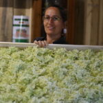 Illustration du producteur Herborescence