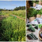 Illustration du producteur Le jardin S en ciel