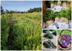 Illustration du producteur Le jardin S en ciel