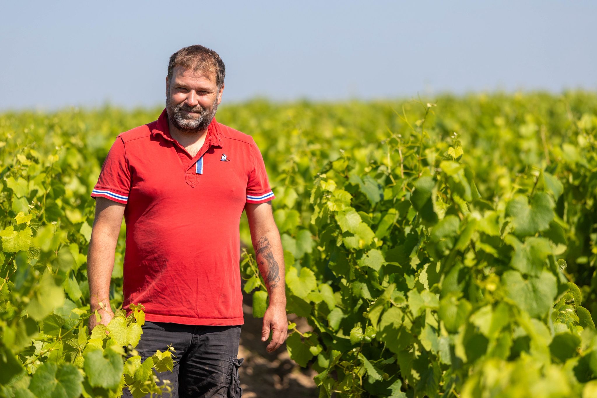 Domaine des Hautes Loges