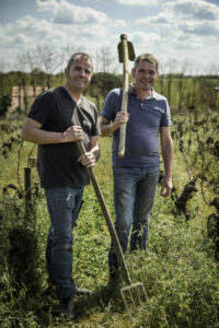 Illustration du producteur Domaine des Cognettes