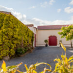 Illustration du producteur Domaine Salmon