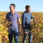 Illustration du producteur Domaine de la Ganolière