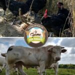 Illustration du producteur La Ferme des Marais