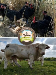 Illustration du producteur La Ferme des Marais
