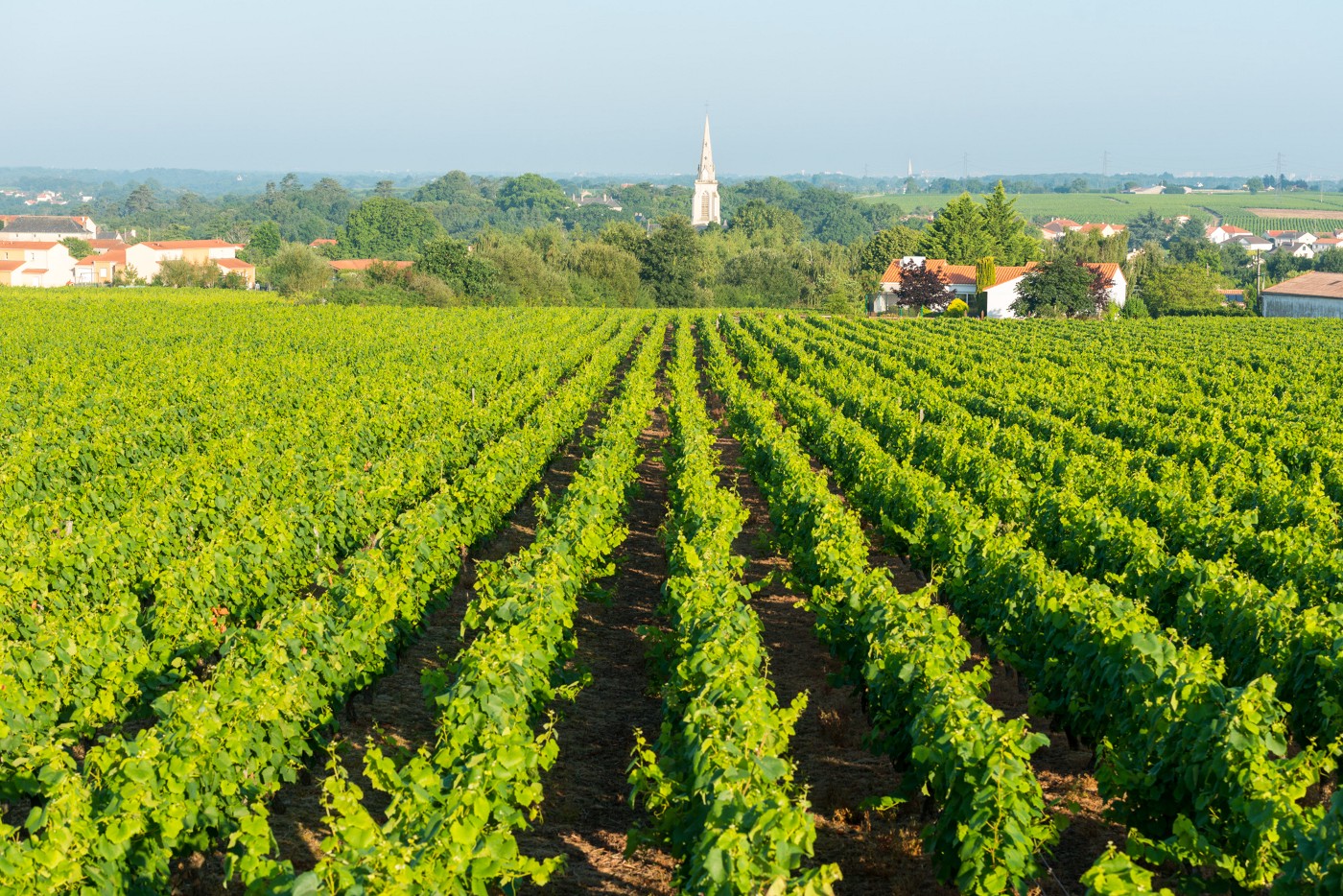 Domaine du Paradis