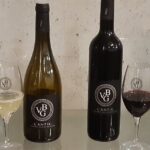 Illustration du producteur Domaine Château d’Amour, Vignoble Brochard Guiho