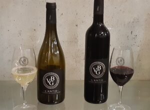 Illustration du producteur Domaine Château d’Amour, Vignoble Brochard Guiho