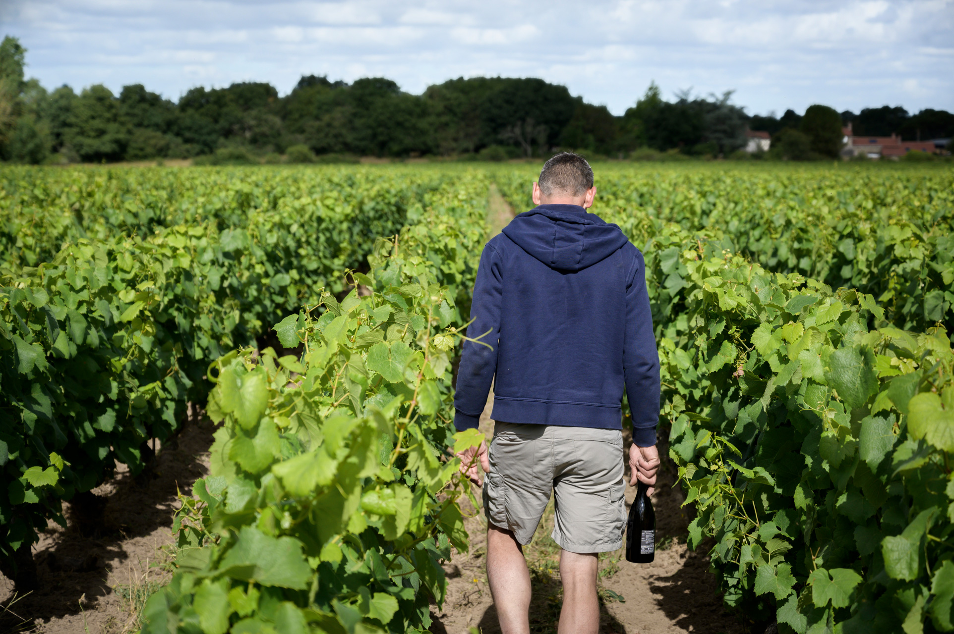 Domaine Bruno Cormerais