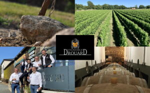 Illustration du producteur Vignoble Drouard