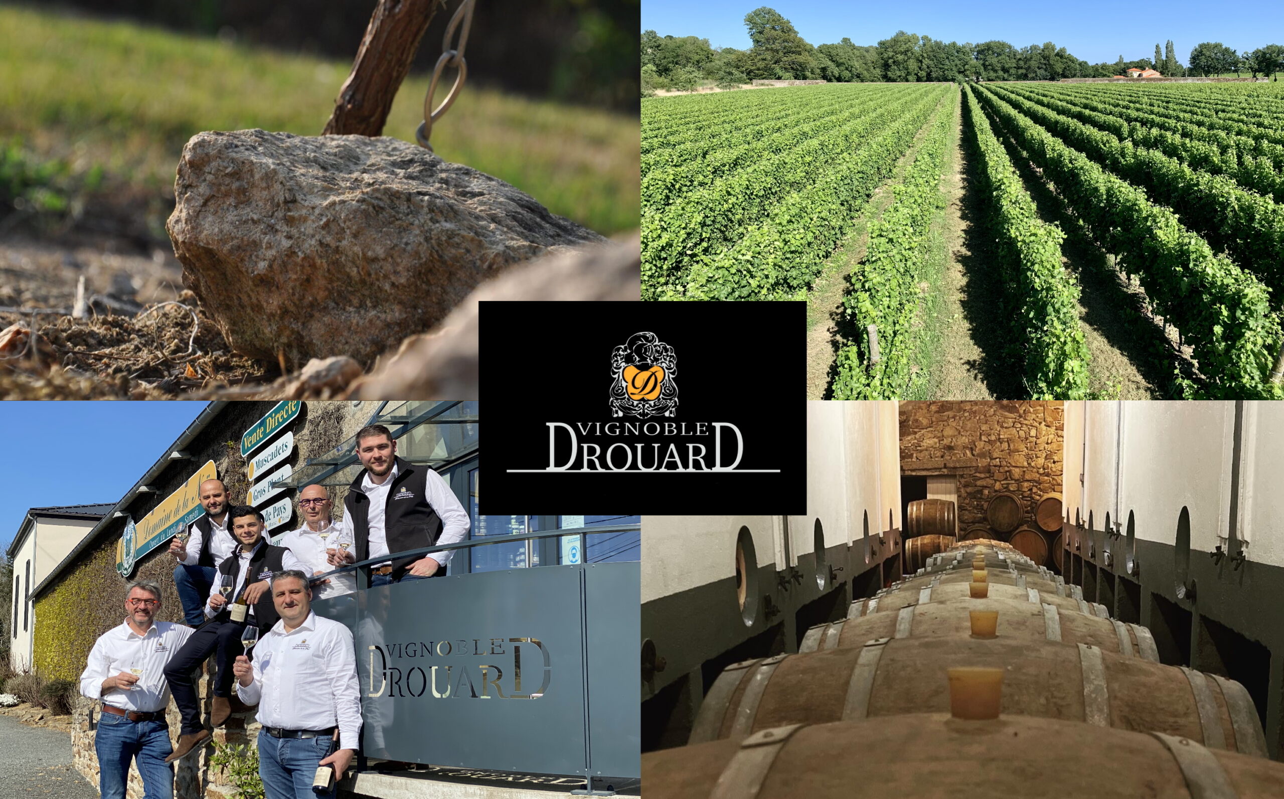 Vignoble Drouard