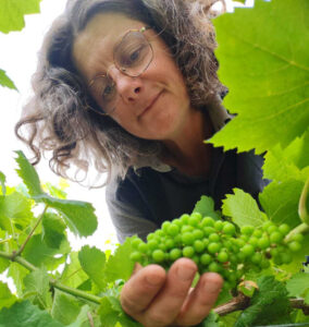 Illustration du producteur Domaine Le Vieux Puits