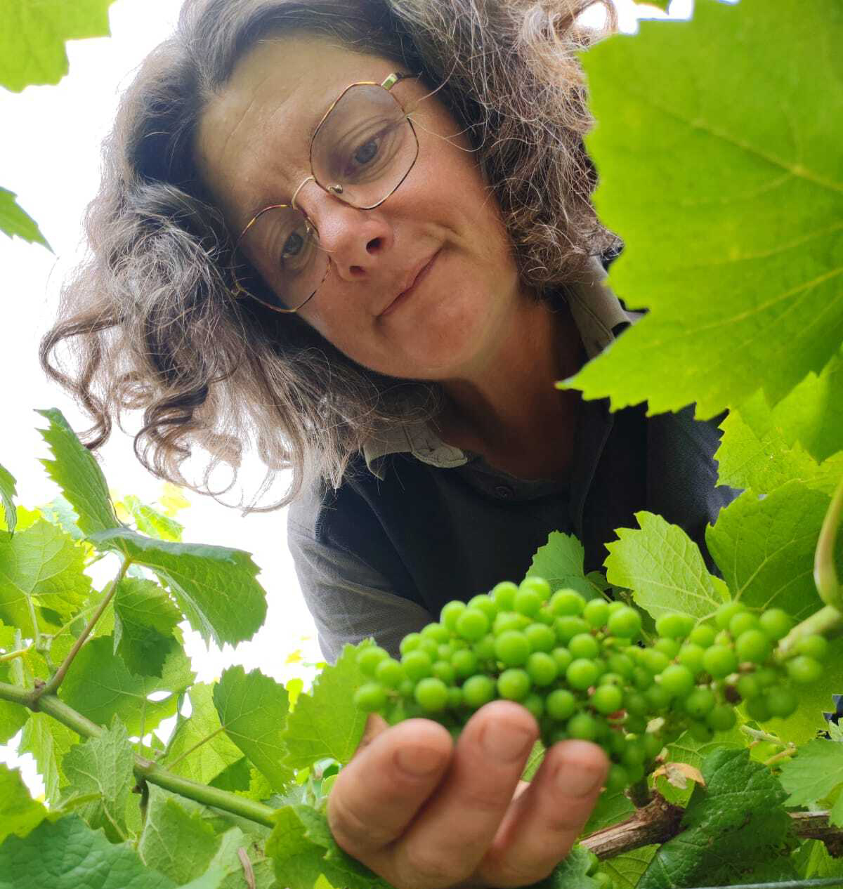 Domaine Le Vieux Puits