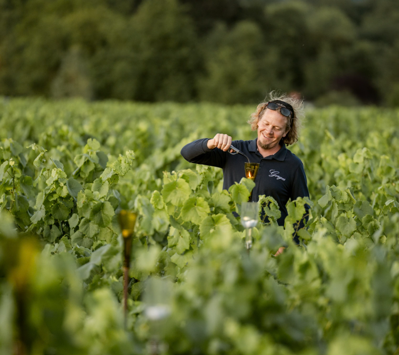 les Vins de Lavie