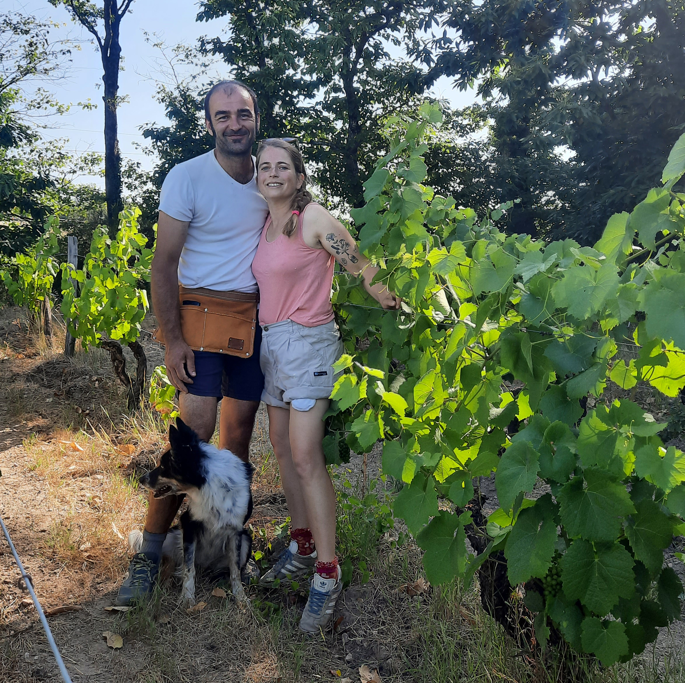 Domaine Complémen’Terre
