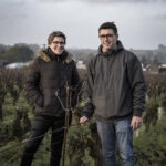 Illustration du producteur Domaine Julien Braud