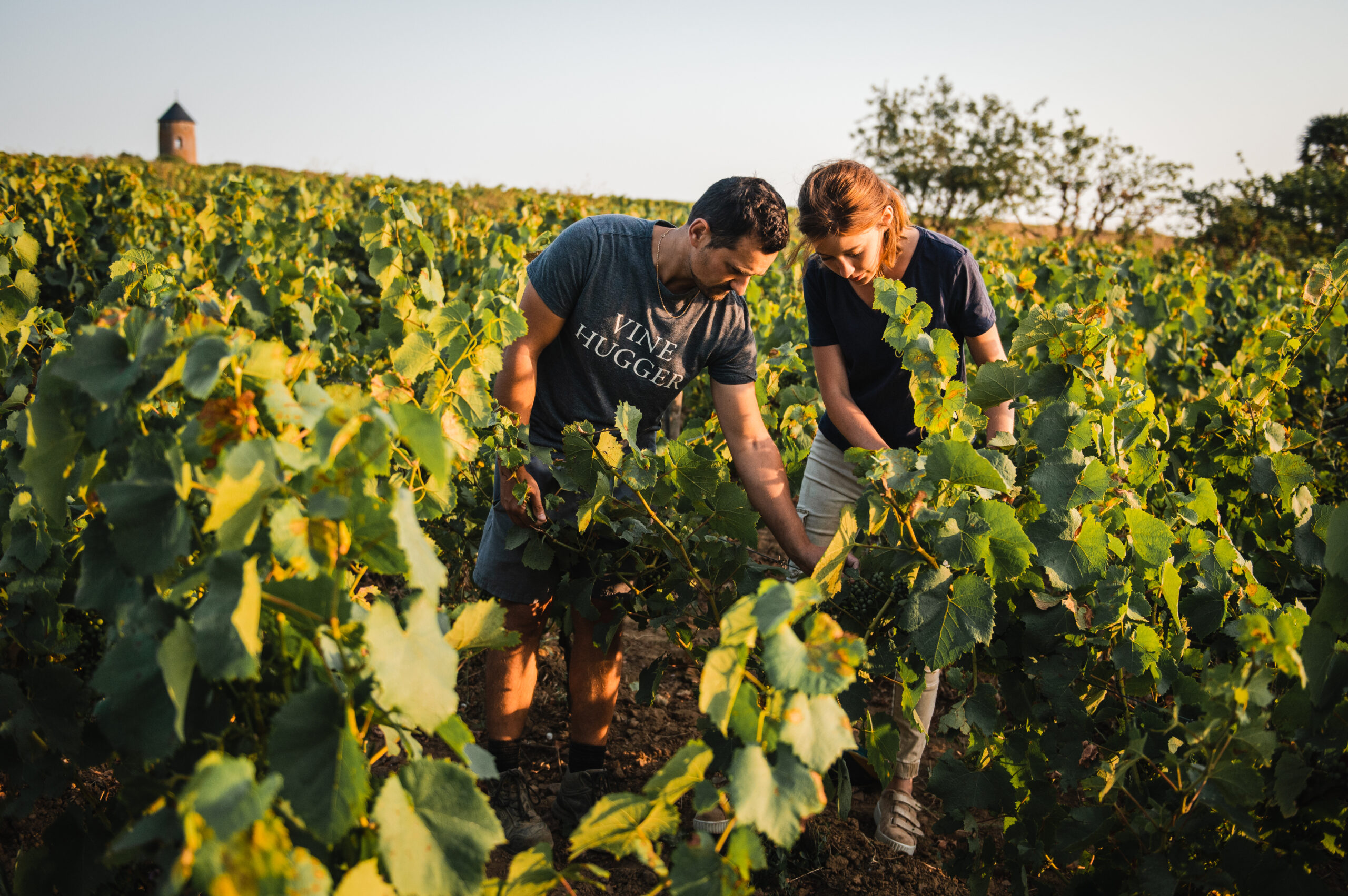 Domaine Ménard Gaborit