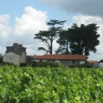 Illustration du producteur Château de l’Epinay