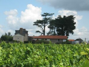 Illustration du producteur Château de l’Epinay